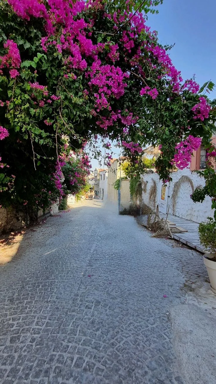 تصوير في شوارع ألاتشاتي